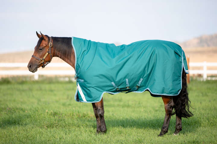 Horseware AMIGO Pferdedecke Bravo 12 Wug Horseware AMIGO Pferdedecke Bravo 12 Wug